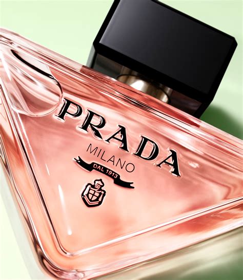 prada paradoxe perfumes|prada paradoxe perfume copy.